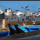 Essaouira la blanche...