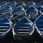 ESSAOUIRA les barques bleues