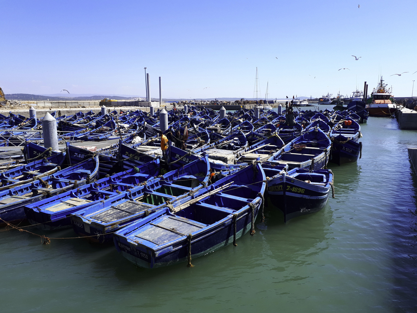 Essaouira - Marokko