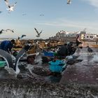 Essaouira - Morgens im Hafen