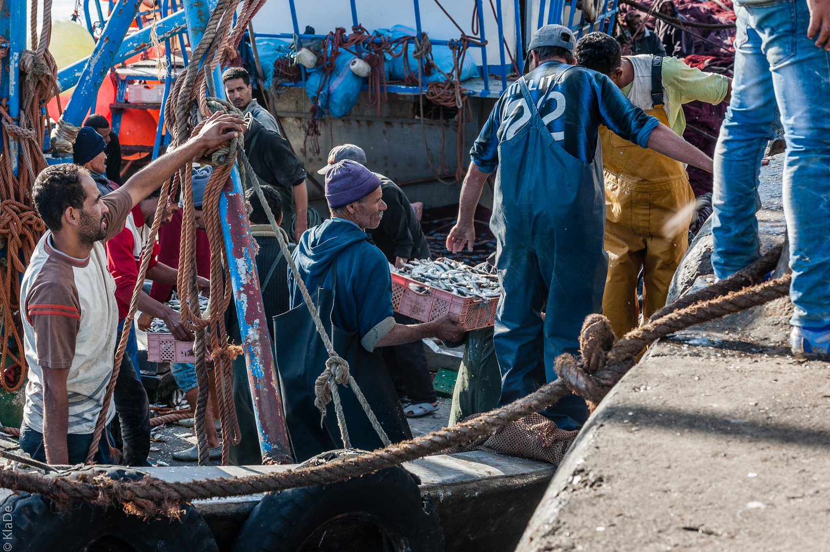 Essaouira - Morgens im Hafen 2