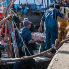 Essaouira - Morgens im Hafen 2