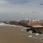 Essaouira, Perle des Atlantik