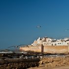 Essaouira (reload)