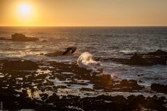 Essaouira - Sonnenuntergang