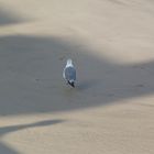 Essaouira strand