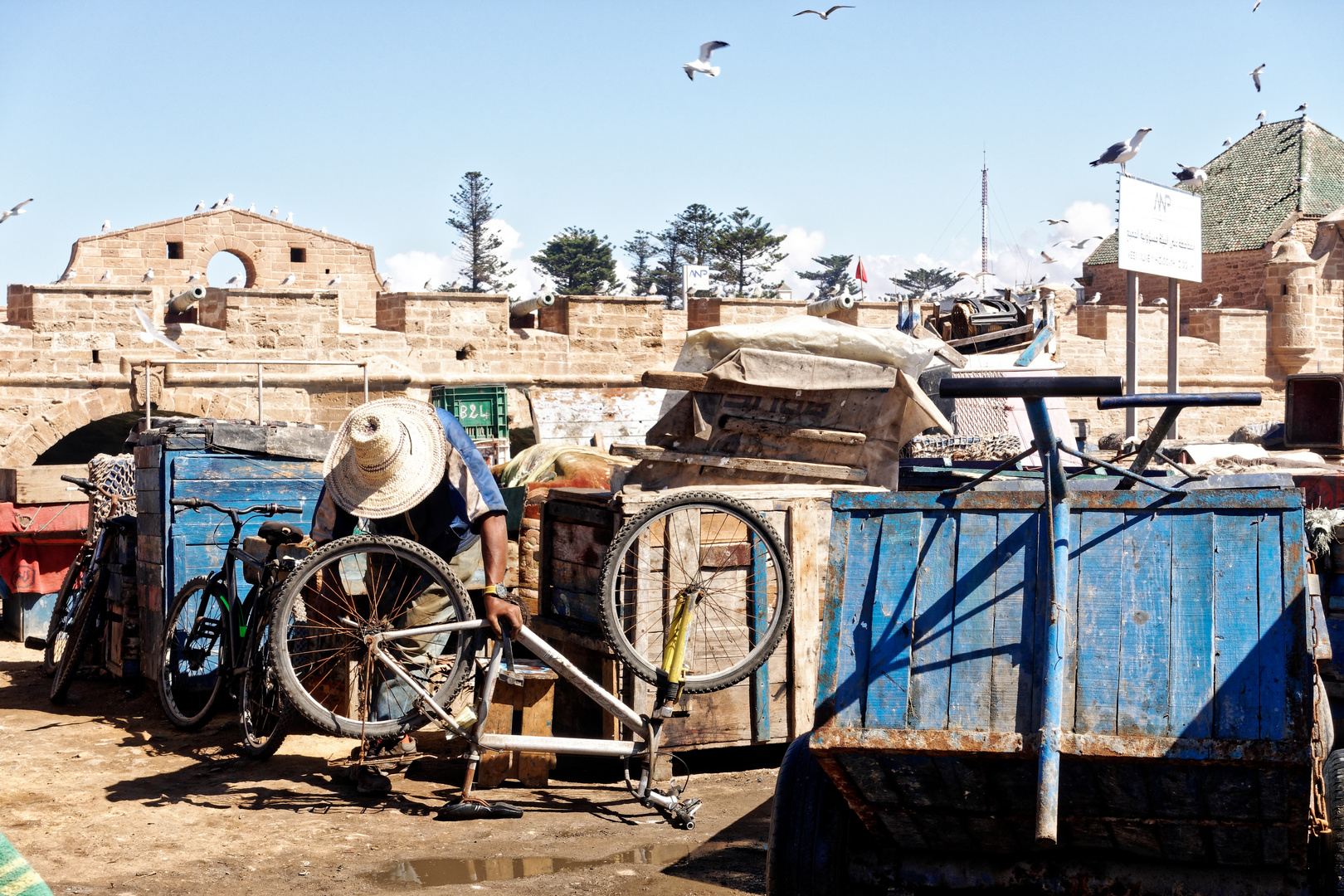 Essaouira_22