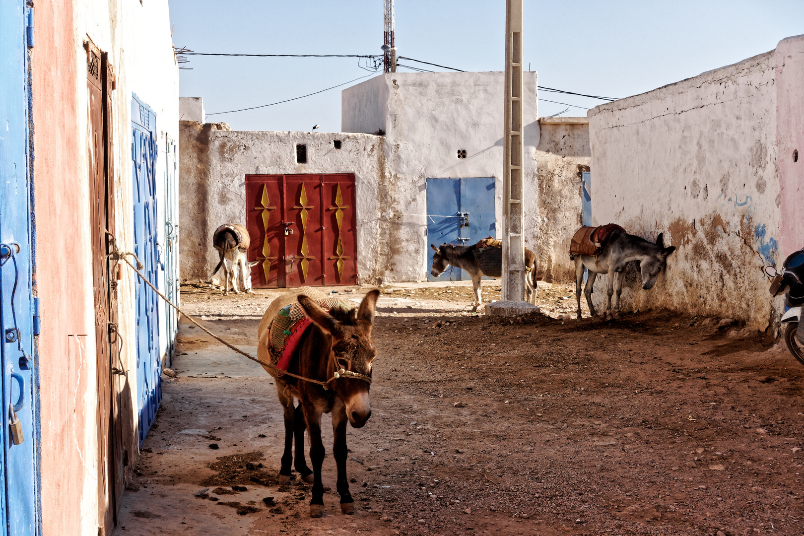 Essaouira_22