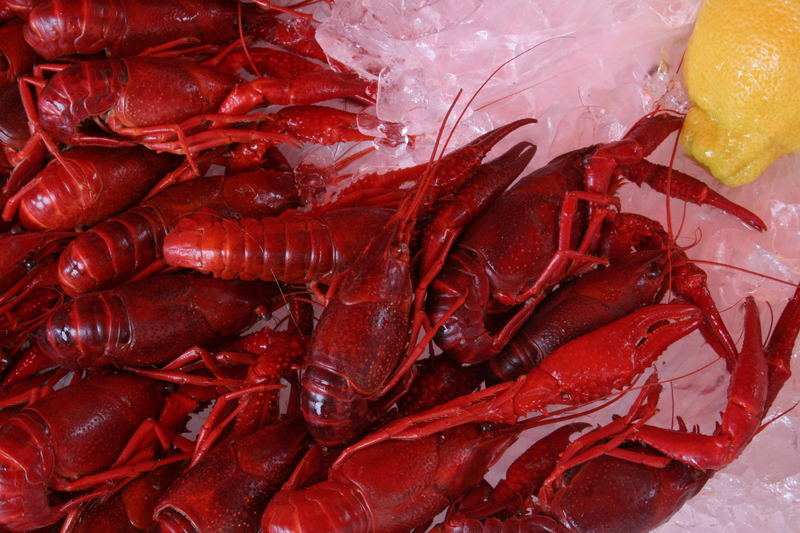 Essen auf Eis (Fischmarkt in Bergen)