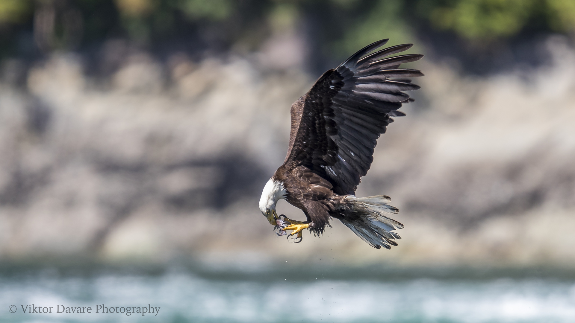 Essen beim fliegen  