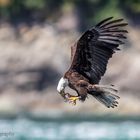 Essen beim fliegen  