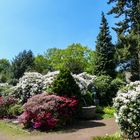 Essen-Bredeney - Städt Friedhof im Frühling 2