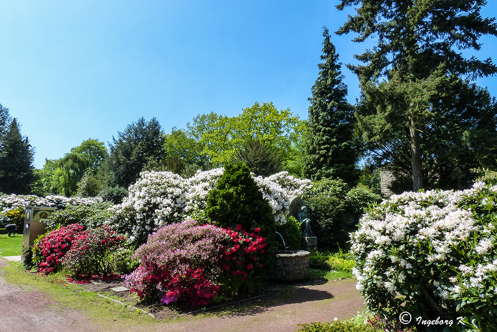 Essen-Bredeney - Städt Friedhof im Frühling 2