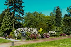 Essen-Bredeney - Städt Friedhof im Frühling