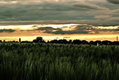 Essen Haarzopf Feld