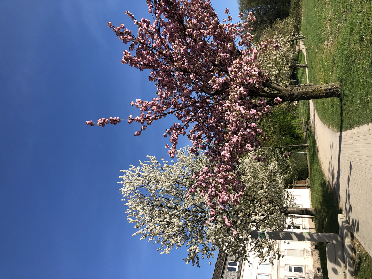 Essen im Frühling 2