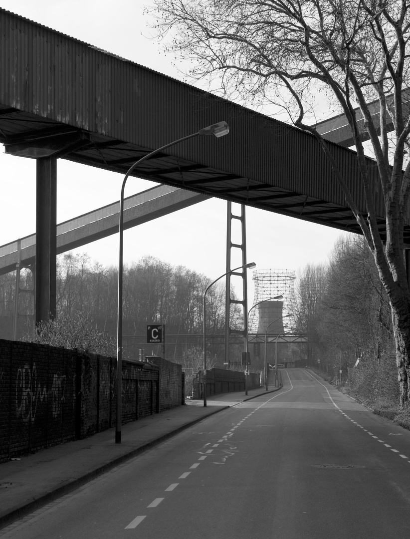 Essen- Katernberg Ahrendahls Wiese 2009