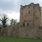 Essen - Ruine der Burg Altendorf 01