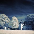 Essen - Schloß Borbeck mit Schloßpark (iR)