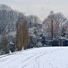 Essen-Schönebeck / Blick über eine Agrarfläche im Winkhauser Tal