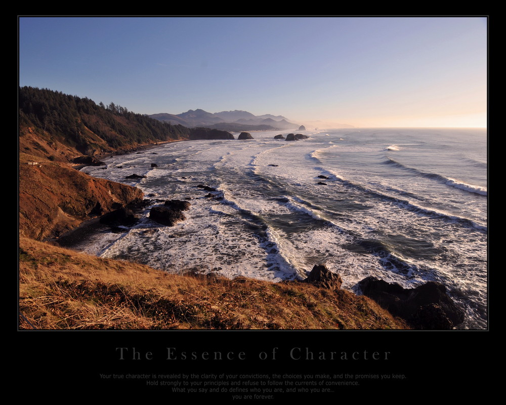 essence of character