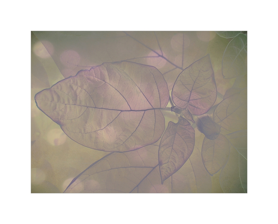 Essence of intimacy ...