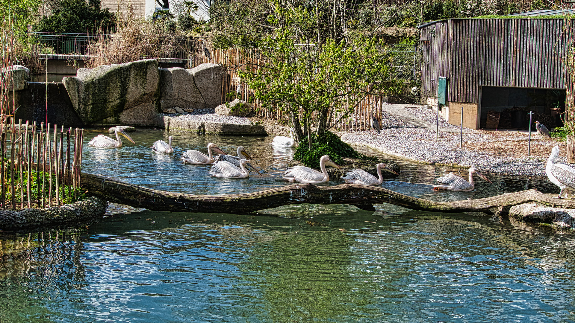 Essenszeit