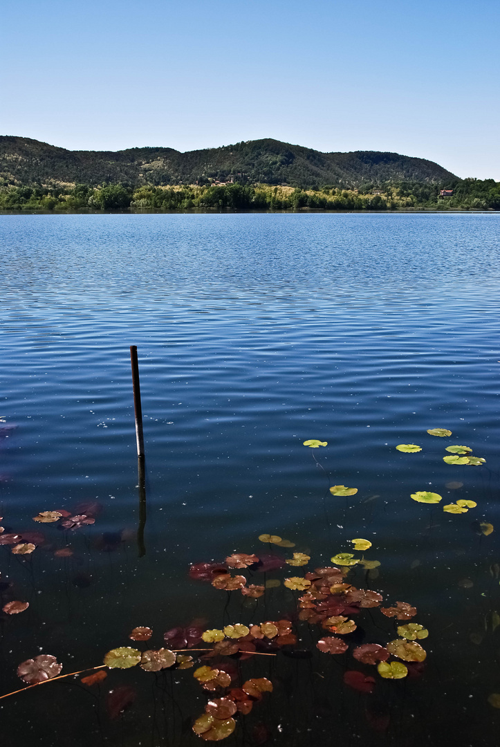 essenza di lago