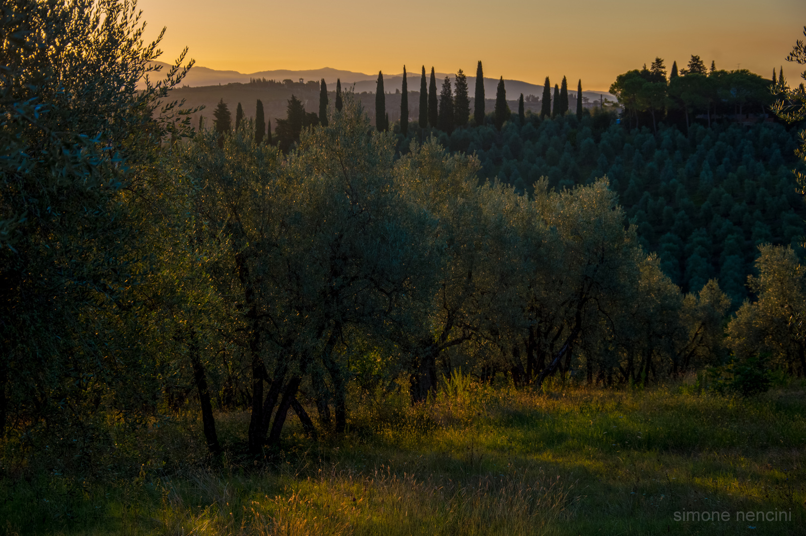 Essenza Toscana.