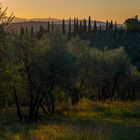 Essenza Toscana.