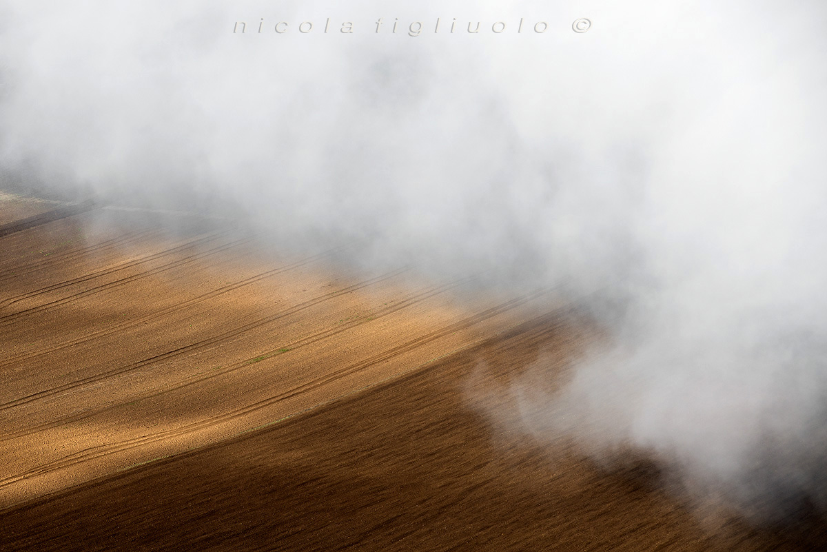 Essenze...  di Terra Madre  (Basilicata 2016)                                   