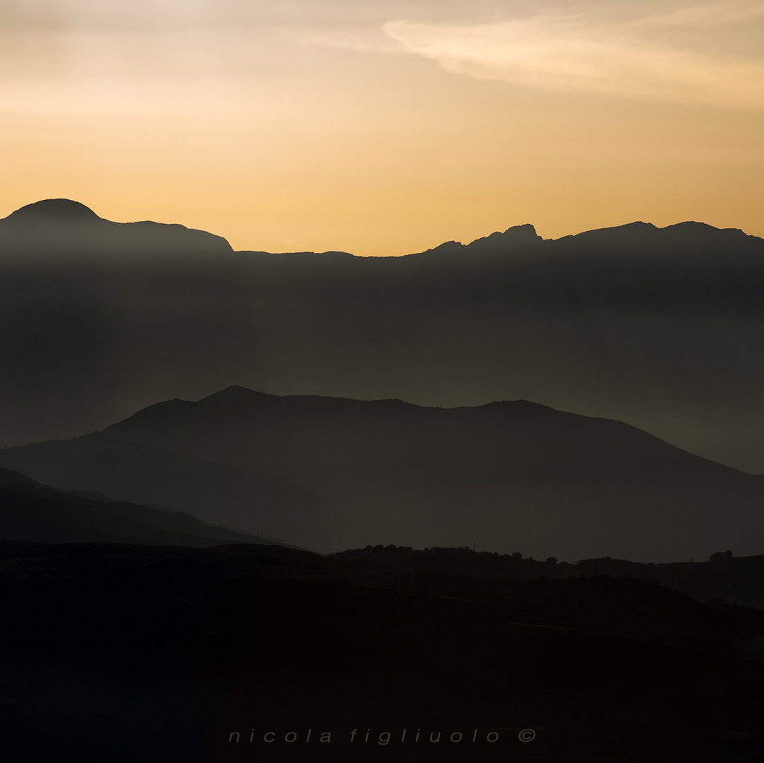 Essenze... di Terra Madre (Basilicata 2016)