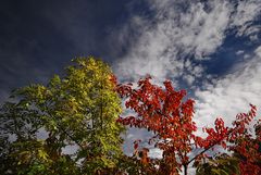 Essenzialmente l'autunno