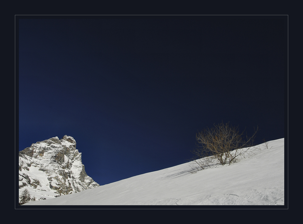 Essere un cespuglio a Cervinia