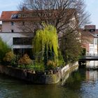 Esslingen - Gesicher einer Stadt...(3)