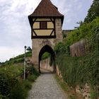 Esslingen - Gesichter eine Stadt...(41)