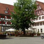 Esslingen - Gesichter einer Stadt...(19)