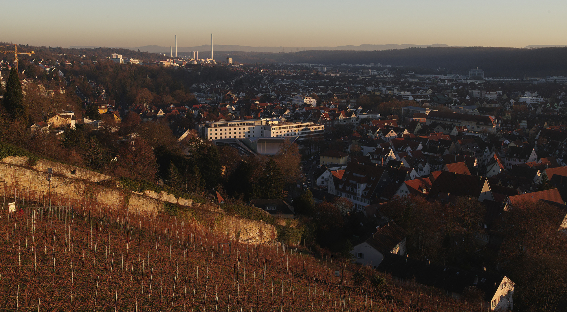 Esslingen im Neckartal