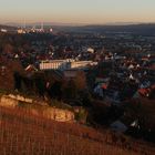 Esslingen im Neckartal