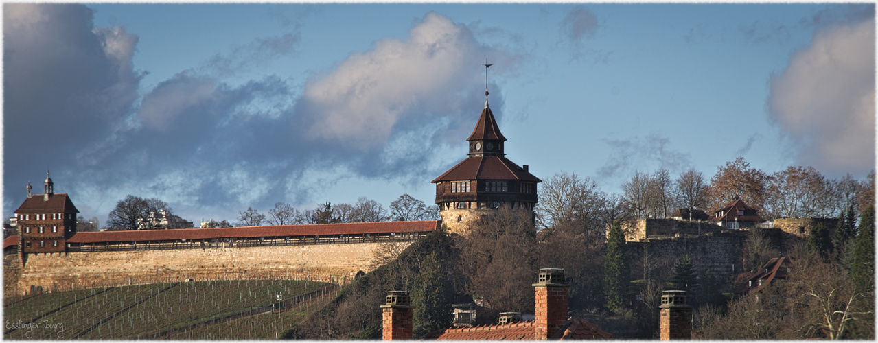 Esslinger Burg