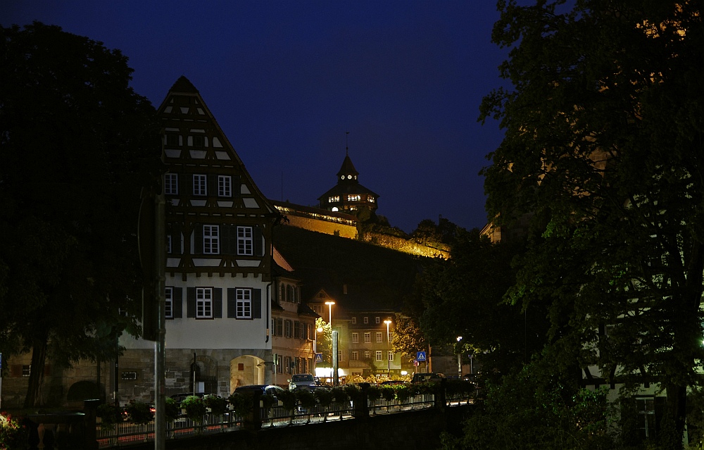 Esslinger Burg mit Altstadt