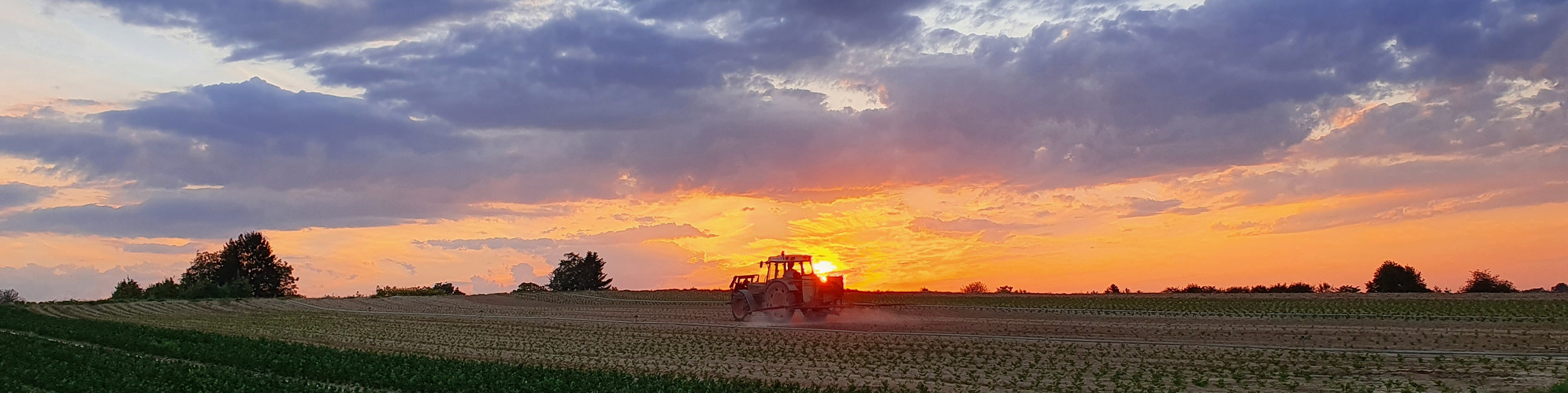 Esslinger Filderkraut-Trekker kreuzt den Sonnenuntergang