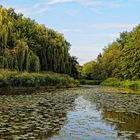 Esssen-Borbeck / Teichanlage im unteren Schloßpark