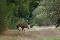 Est ce la fin d'un règne ?