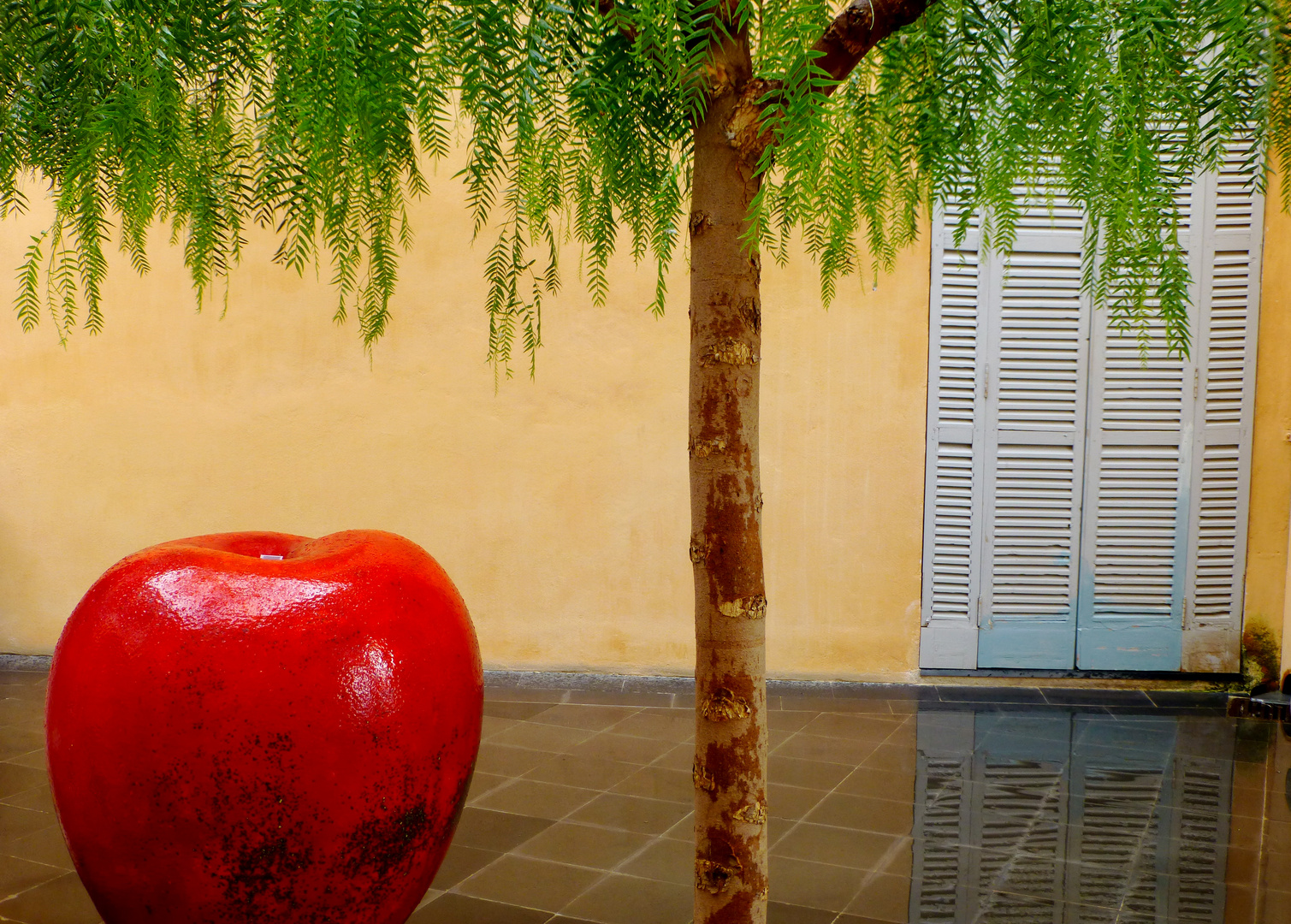 Est-ce la pluie qui a fait grossir la pomme...