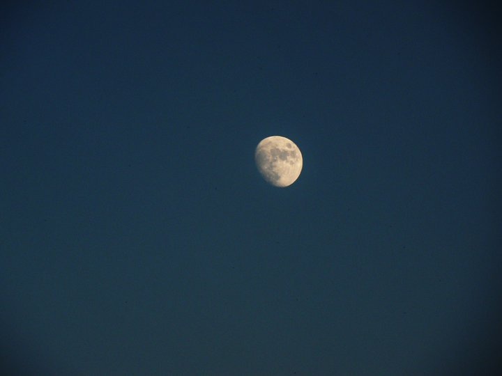 Esta es la historia de dos caracoles que vieron la Luna.