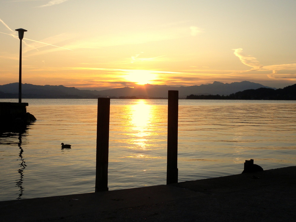 Esta mañana en lago de Zürich