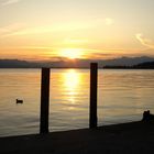 Esta mañana en lago de Zürich