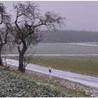 esta mañana estuvo nevando II