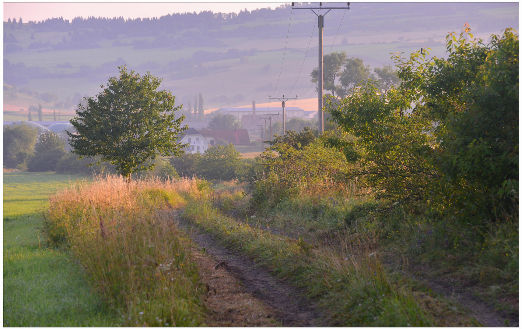 esta mañana (heute morgen)